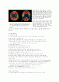 치매 환자를 위한 효율적인 간호중재 방안  11페이지