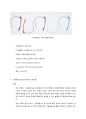 구글글래스, 구글글라스 (Google Glass) 완벽정리 3페이지