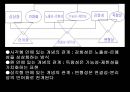 로즈마리 파시 Rosemarie Rizzo Parse ‘Human becoming’.ppt 23페이지