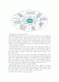 [병원정보시스템] 병원정보시스템의 기능, 구성 및 사례 9페이지