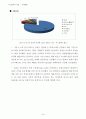 디스플레이정의,디스플레이산업,국내외적발전과정,국제적위상,향후전망 24페이지