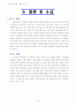 디스플레이정의,디스플레이산업,국내외적발전과정,국제적위상,향후전망 34페이지