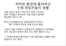 총균쇠 독후감.ppt 79페이지