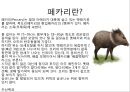 총균쇠 독후감.ppt 84페이지