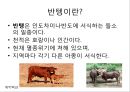 총균쇠 독후감.ppt 90페이지