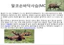 총균쇠 독후감.ppt 92페이지