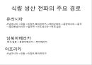 총균쇠 독후감.ppt 95페이지