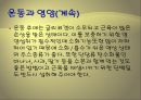 [운동과 건강] 휘트니스 트레이닝과 단계별 운동 프로그램.ppt 27페이지