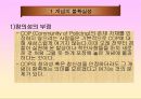 [지역경찰] 지역사회경찰활동의 한계.ppt 3페이지