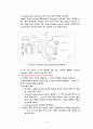 [구급법] 심폐소생술, CPR에 대해서 6페이지