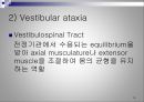 [뇌손상] Ataxia[실조증]의 운동치료 19페이지