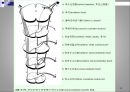 [뇌손상] Ataxia[실조증]의 운동치료 23페이지