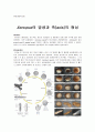 [발생생물학] Xenopus의 발생과 축[axis]의 형성 1페이지