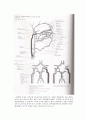 재활의학 - 뇌졸중[stroke]에 대하여 5페이지