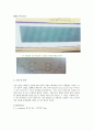 [물리화학실험- 예비와 결과] Absorption spectrum of a conjugated dye 4페이지