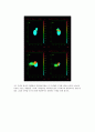 천문학 -  달의 기원에 대해 8페이지