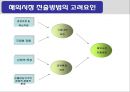 해외시장진출 전략 [글로벌전략 정의] 5페이지