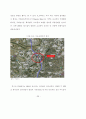 KTX지역역사 활성화 방안에 대한연구 43페이지