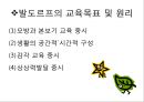 (영유아보육프로그램) 발도르프 유아교육 프로그램 프레젠테이션 레포트 자료 10페이지