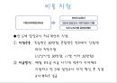 (영유아보육학개론) 5세 누리과정 11페이지