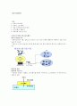 정보기술환경 1페이지