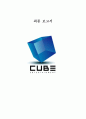 큐브 엔터테인먼트 (Cube Entertainment) 최종 보고서 1페이지