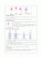 발레의 역사, 사조별로 본 발레의 역사, 발레사에 업적을 남긴 인물, 발레용어, 발레 작품 9페이지