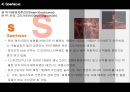 발레 (업적을 남긴 무용수와 작품을 중심으로).ppt 80페이지