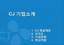 CJ제일제당 기업분석및 CJ의 경영전략분석과 CJ 경영사례분석 2페이지