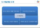 CJ제일제당 기업분석및 CJ의 경영전략분석과 CJ 경영사례분석 3페이지