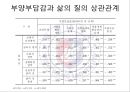 성인 치매노인 주부양자의 부양부담감과 삶의 질에 대한 연구.ppt 29페이지