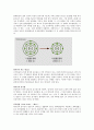 [화학] 고분자 - 양이온 음이온 결합 2페이지