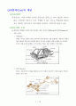 [자동차공학] 자동차의 신개념 시스템 3페이지