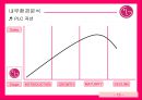 LG전자 - 브라질 시장 진출  14페이지