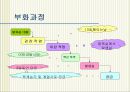 식품 서비스 산업의 미래 “하림” 10페이지