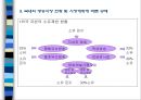 방송시장 개방의 문제점과 발전 방향에 대한 이해.PPT자료 13페이지