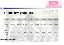 SM Entertainment(에스엠 엔터테인먼트)의 글로벌 마케팅 (일본시장).PPT자료 8페이지