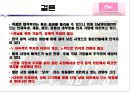 SM Entertainment(에스엠 엔터테인먼트)의 글로벌 마케팅 (일본시장).PPT자료 26페이지