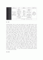 교육정보화 의미, 교육정보화 효과, 교육정보화 필요성, 교육정보 통합규격과 보급방안, 교육정보 통합규격과 교육정보화 기반시설 및 환경, 교육정보 통합규격과 필수규격, 교육정보 통합규격과 멀티미디어컴퓨터 8페이지