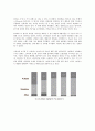 아이디스(IDIS) 기업분석 및 경영전략 4페이지