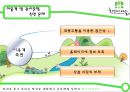 농촌체험마을 한드미 마을 조사, 분석.ppt 32페이지