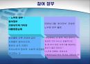 역대 정부의 행정개혁 비교 11페이지