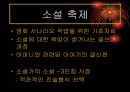 소설, 영화, 그리고 삶  이청준 소설 (축제)와 임권택 영화 (축제)를 중심으로… 21페이지