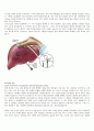 일반외과 (general surgery) case 성인간호학임상실습 - 간종양 (liver cell carcinoma) 7페이지