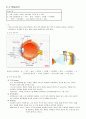 내 삶속의 색(2주차 ~ 14주차) 요약 및 성찰 [학점 A+] 2페이지