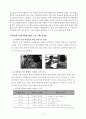 다문화아동 보고서 수정 13페이지