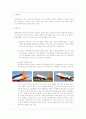 기업분석 보고서 - 제주항공 5페이지