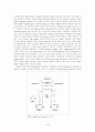 [물리치료학] 보행에서의 central pattern generator(CPG)의 기전과 역할 3페이지