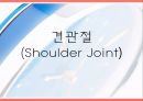 [운동치료] 견관절 (Shoulder Joint) 해부학적 구조와 손상후 재활 1페이지