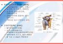 [운동치료] 견관절 (Shoulder Joint) 해부학적 구조와 손상후 재활 3페이지